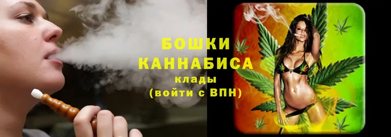 Бошки марихуана THC 21%  Вязьма 